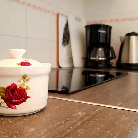 Warm, Cozy And Comfortable Appartement *