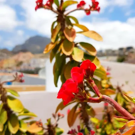 Appartement Warm, Cozy And Comfortable *