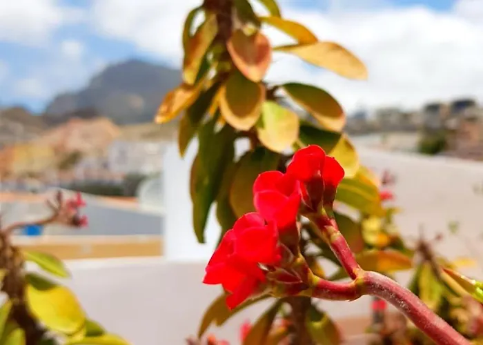 Apartman Warm, Cozy And Comfortable *